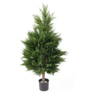 AnyConv.com__Cyprys-Juniperus-UV-105-cm.webp Cyprys Juniperus UV 105 cm