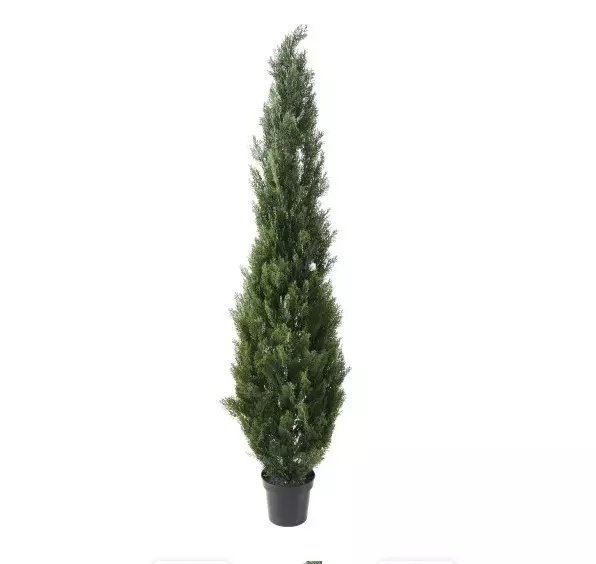 Cyprys Zielony UV 270 cm