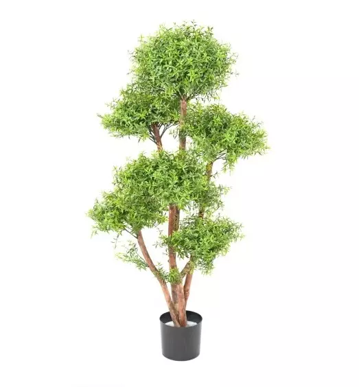 Eukaliptus - Bonsai UV 130 cm