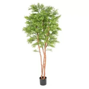 AnyConv.com__Eukaliptus-UV-210-cm.webp Eukaliptus UV 210 cm