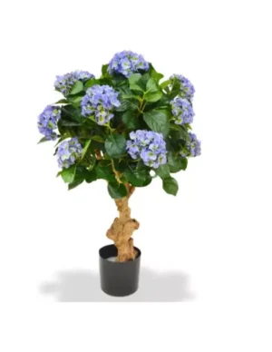 Hortensja Luksusowa Niebieska 90 cm
