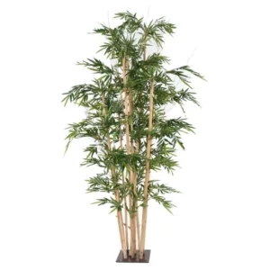 Bambus Giant 320 cm
