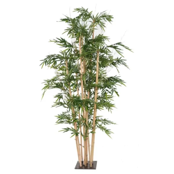 Bambus Giant 320 cm