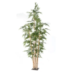 Bambus Giant 400 cm