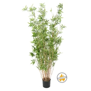 Bambus Orientalny 160 cm - Produkt Trudnopalny FR