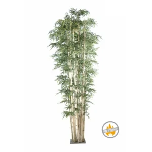 Bambus Giant 510 cm - Produkt Trudnopalny FR
