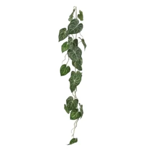 Bluszcz-Anturium-Clarinervium-Girlanda-110-cm.webp Anturium Clarinervium - Girlanda 110 cm