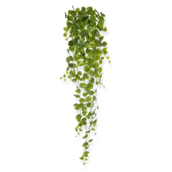 Bluszcz Filodendron 130 cm