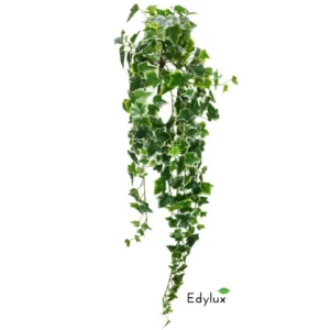 Bluszcz-Hedera-Bialo-Zielony-100-cm.webp Bluszcz Hedera Biało - Zielony 100 cm