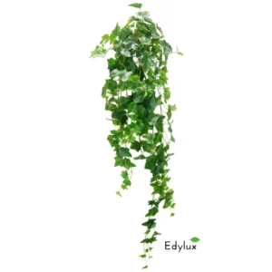 Bluszcz-Hedera-Bialo-Zielony-100-cm-EX1012.webp Bluszcz Hedera Zielony 100 cm