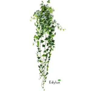 Bluszcz-Hedera-Bialo-Zielony-150-cm.webp Bluszcz Hedera Biało - Zielony 150 cm