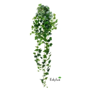 Bluszcz-Hedera-Bialo-Zielony-150-cm-EX1013.webp Bluszcz Hedera Zielony 150 cm