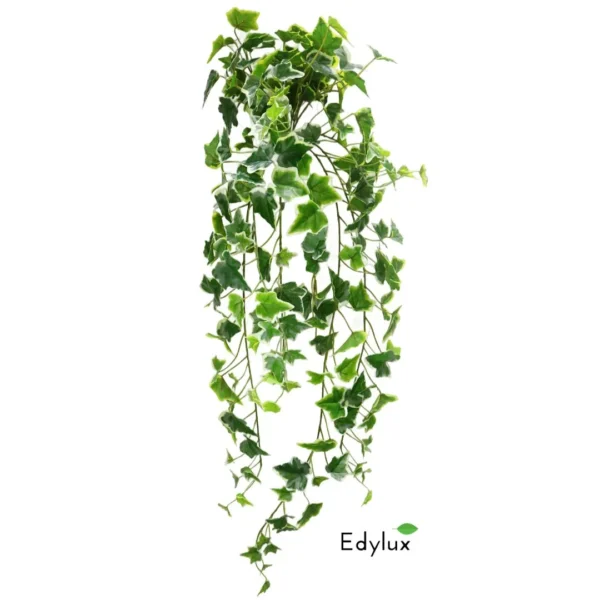 Bluszcz Hedera Biało - Zielony 85 cm