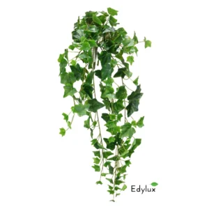 Bluszcz-Hedera-Bialo-Zielony-85-cm-EX1011.webp Bluszcz Hedera Zielony 85 cm