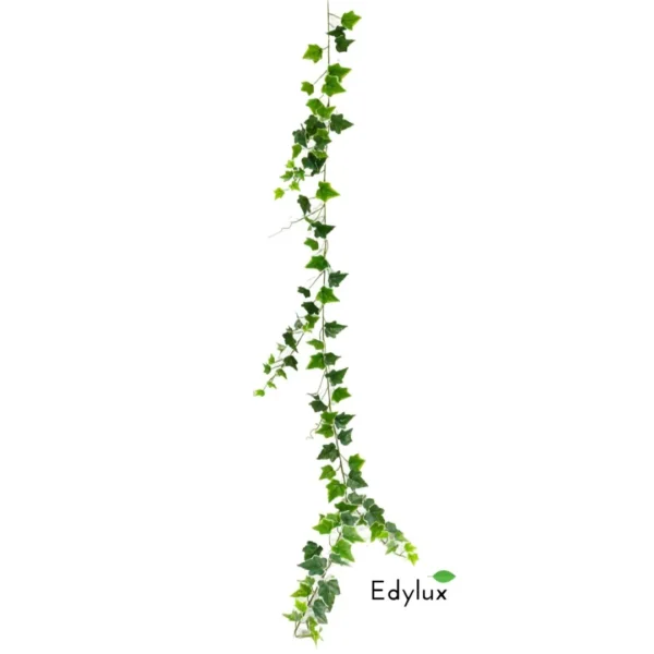 Bluszcz Hedera Biało - Zielony - Girlanda 180 cm