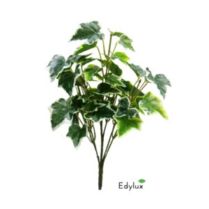 Bluszcz-Hedera-Bialo-Zielony-na-Piku-35-cm-EX1008.jpg Bluszcz Hedera Biało - Zielony na Piku 35 cm