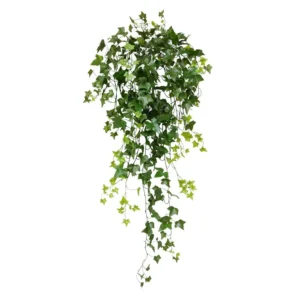 Bluszcz-Hedera-UV-100-cm.webp Bluszcz Hedera UV 100 cm