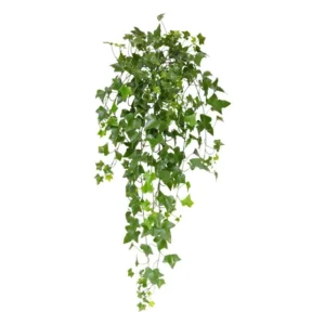 Bluszcz-Hedera-UV-80-cm.webp Bluszcz Hedera UV 80 cm