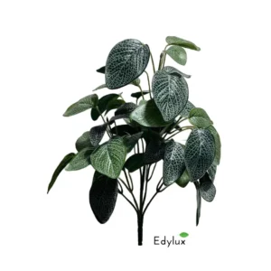 Bluszcz-Hedera-Zielony-na-Piku-35-cm-EX1000.webp Fitonia na Piku 34 cm