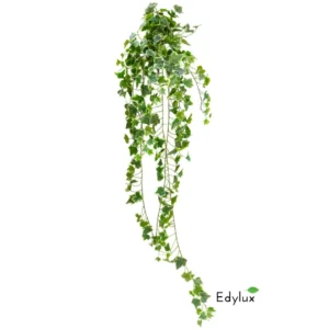 Bluszcz-Hedera-Zmurszaly-150-cm-EX1021.webp Bluszcz Hedera Zmurszały 150 cm