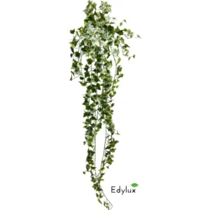 Bluszcz-Hedera-Zmurszaly-180-cm-EX1022.webp Bluszcz Hedera Zmurszały 180 cm