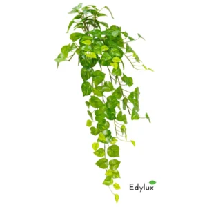 Bluszcz-Potos-100-cm-EX1028.webp Bluszcz Potos 100 cm