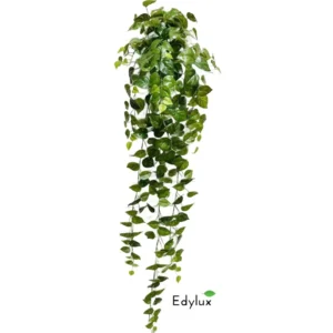 Bluszcz-Potos-150-cm-EX1029.webp Bluszcz Potos 150 cm