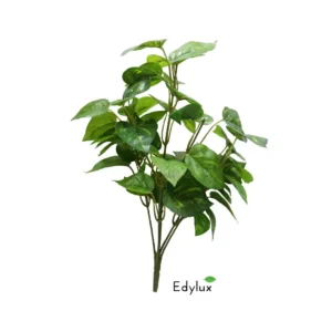 Bluszcz-Potos-na-Piku-35-cm-EX1024.webp Bluszcz Potos na Piku 35 cm