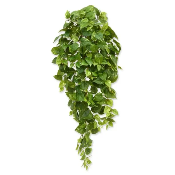 Bluszcz Scindapsus 100 cm