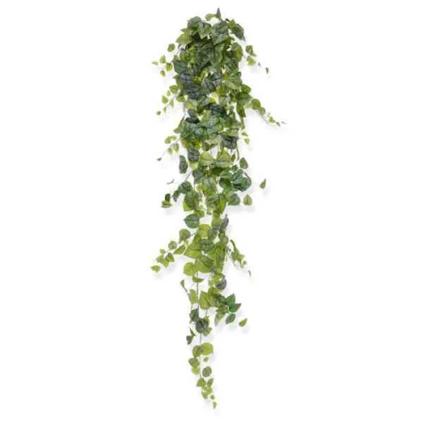 Bluszcz Scindapsus Pictus 170 cm