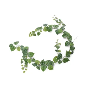 Bluszcz-Scindapsus-Pictus-Girlanda-180-cm.webp Bluszcz Scindapsus Pictus - Girlanda 180 cm
