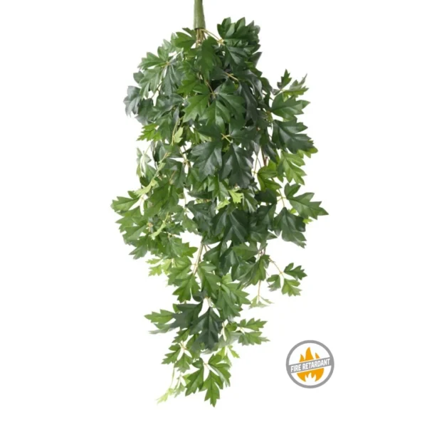 Bluszcz Winorośli 80 cm - Produkt Trudnopalny FR