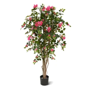 Bugenwilla 150 cm