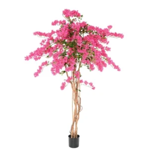 Bugenwilla Fuksja 235 cm