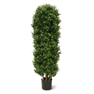 Bukszpan - Kolumna 125 cm