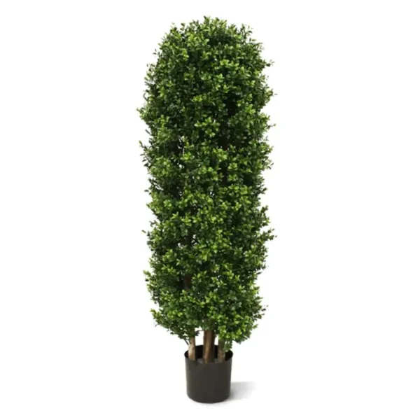 Bukszpan - Kolumna 125 cm