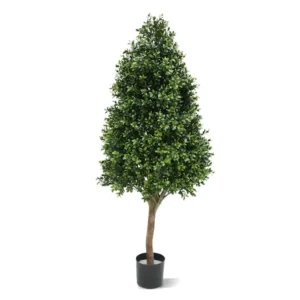 Bukszpan Luksusowy - Wieża UV 110 cm