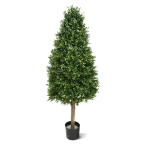 Bukszpan Luksusowy - Wieża UV 140 cm