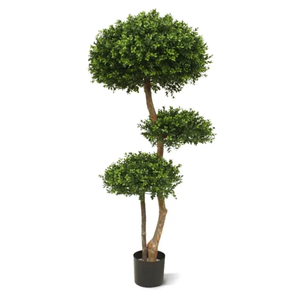 Bukszpan Luksusowy - Trzy Kule UV 140 cm