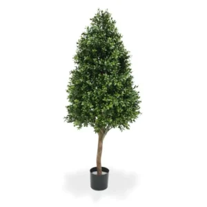 Bukszpan - Wieża 110 cm
