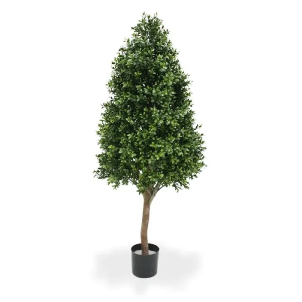 Bukszpan - Wieża 110 cm