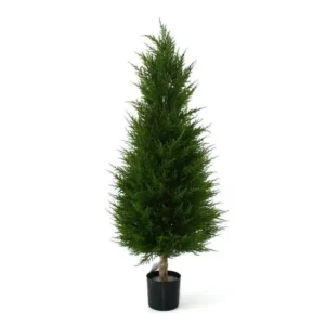 Cyprys Luksusowy 100 cm