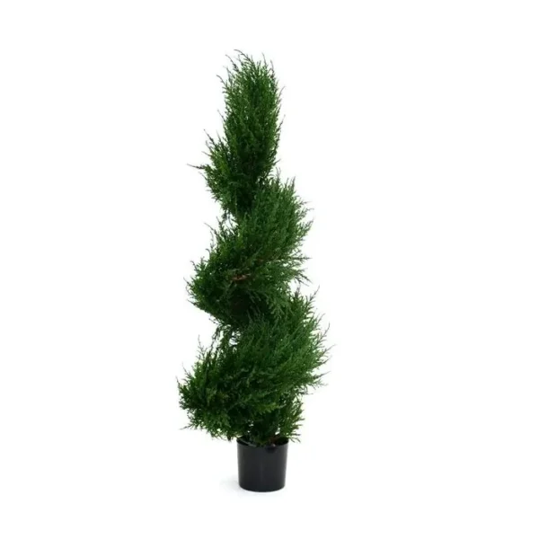 Cyprys Luksusowy - Spirala 100 cm