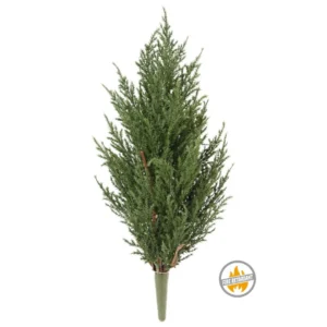 Cyprys na Piku 50 cm - Produkt Trudnopalny FR