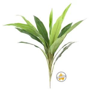 Dracena na Piku 60 cm - Produkt Trudnopalny FR