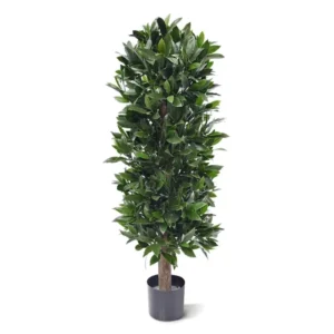 Drzewo Laurowe - Kolumna UV 125 cm
