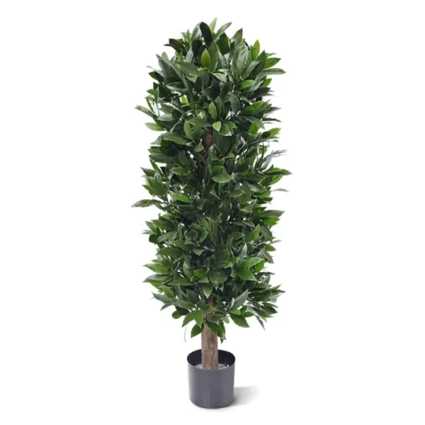 Drzewo Laurowe - Kolumna UV 125 cm