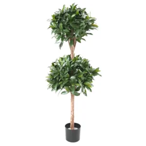 Drzewo-Laurowe-–-2-Kule-na-Pniu-UV-140-cm.webp Drzewo Laurowe - 2 Kule na Pniu UV 140 cm