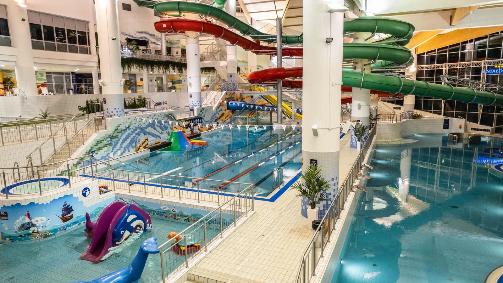 Realizacja Edylux – sztuczna zieleń premium i aranżacja roślinna nr 9
