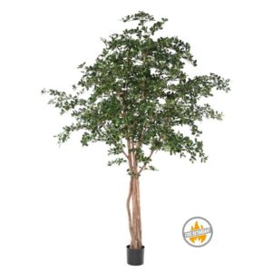 Oliwka Czarna 300 cm - Produkt Trudnopalny FR